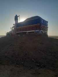 يوجد دمن غنم ودمن هوش اليريد يتصل وبي خير ويدلل توصيل ديالى وبغداد 077...