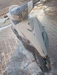 ماكس ثعلب • اوراق كامله • كفاله عامه