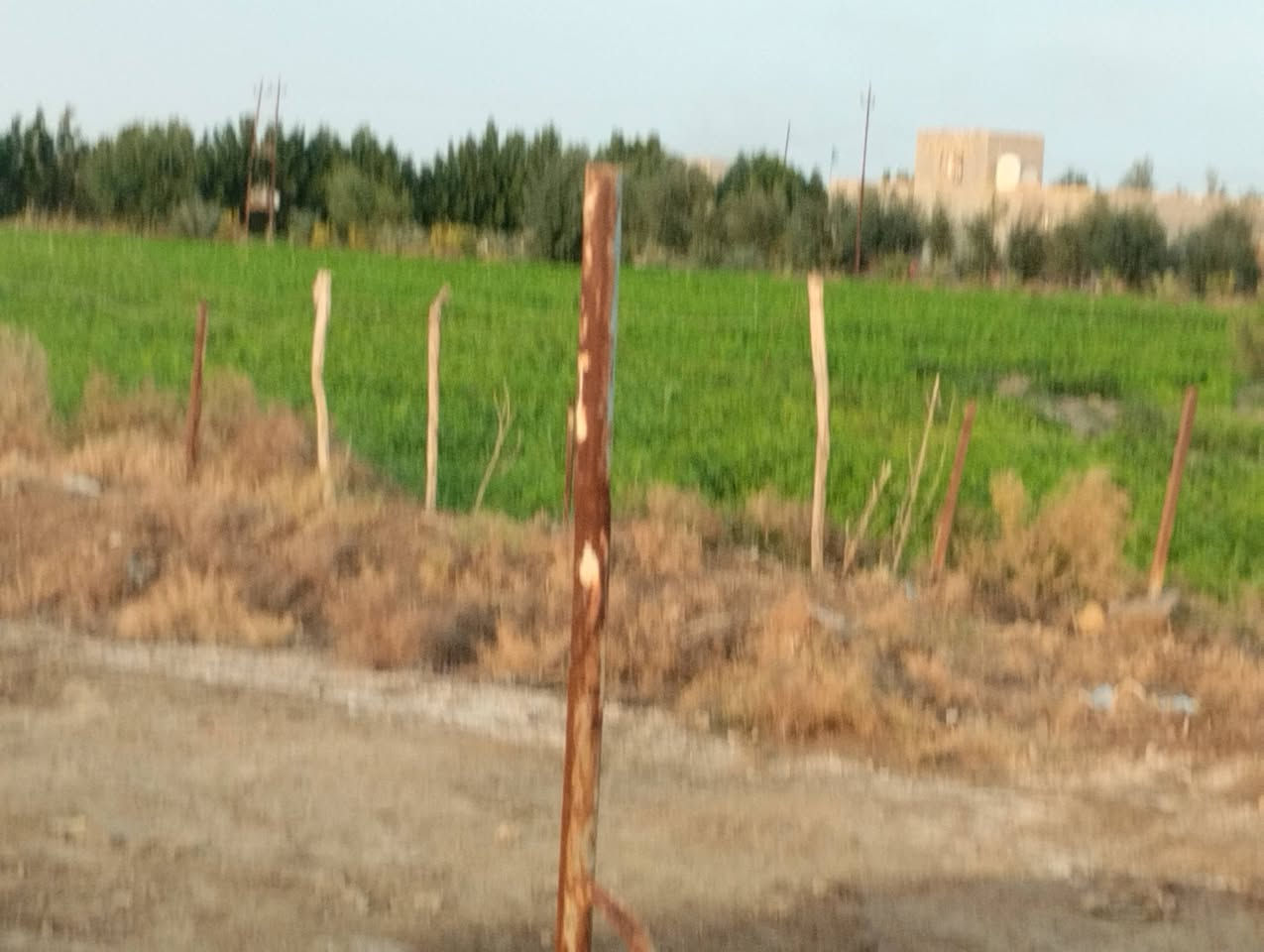 بسم الله الرحمن الرحيم 
كاع دونيمين700متر للبيع 
صوب بني ركاب طريق سعيدان 
خلف الحامع 
على الشارع التبليط 
خدمات موجود كهرباء 
ومي اساله ومي سقي من سعيدان 
الكاع زراعيه
السعر وباقي التفاصيل 
يم صاحب الكاع 
رقم صاحب الكاع ***********
او على الأرقام 
***********
***********
او مراسلة الصفحة 
#هادي_الحجيمي
