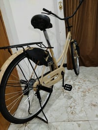 ناصريه حي اور • بايسكل حاويه غراضه