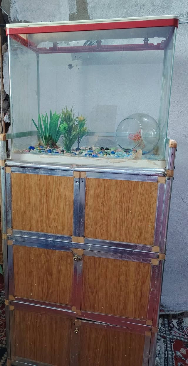 السلام عليكم حوض مع كومدي للبيع ب٧٥ قفل بغداد البياع


**إذا كنت صاحب هذا الإعلان وتريد حذفه لأي سبب، رجاءا أرسل رسالة إلى الدعم الفني**