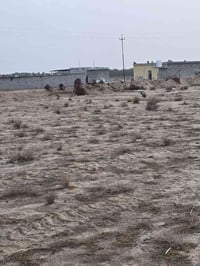 ٦ دوانم • كهرباء وطنيه • سفوان زبير