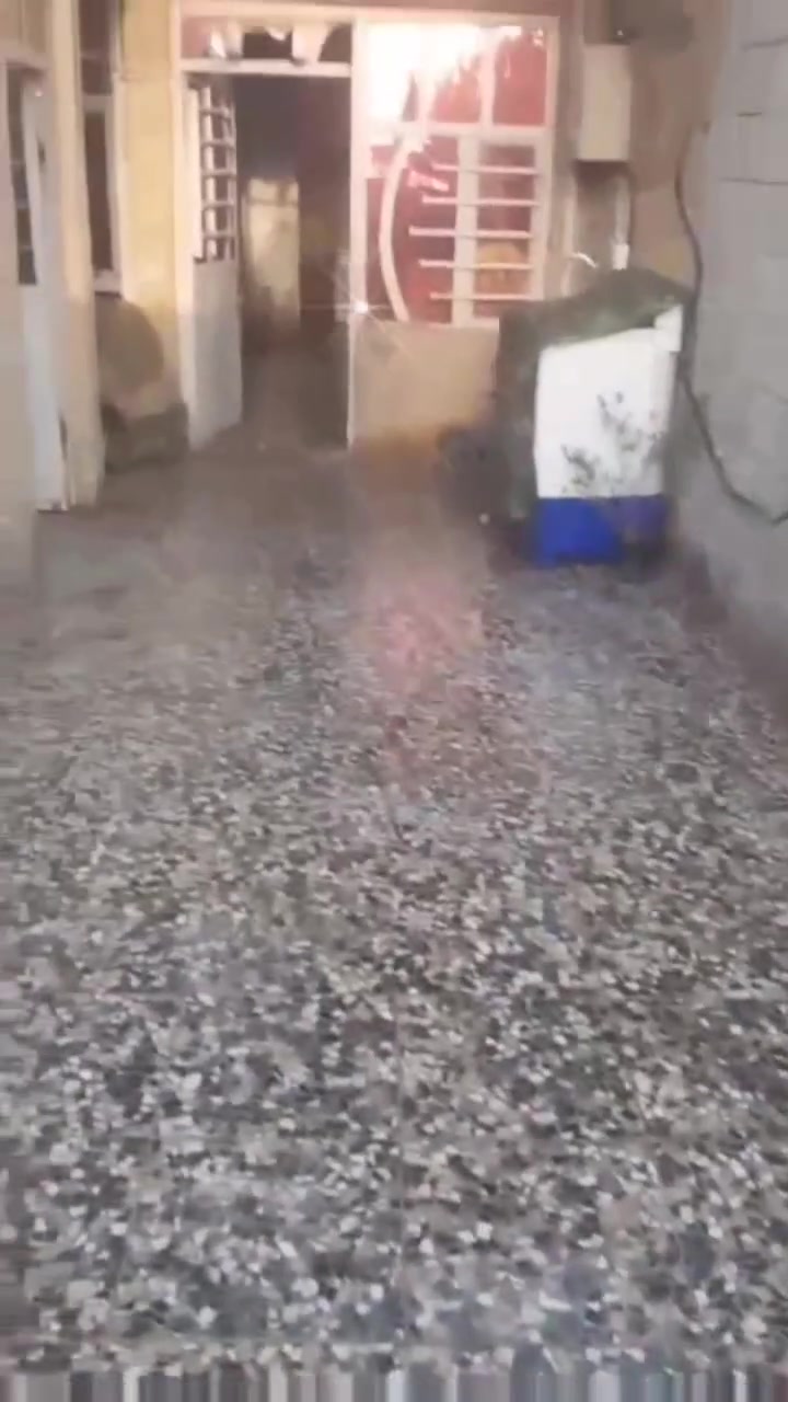 ***********
للبيع بغداد
