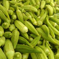 بانيه • درجة اولى • مكلف بنشر