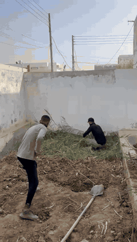 يوجد عمال لكافة الأعمال الشاقة تصعيد مواد عالضهر +فرش سبيس وحدل +صب ارضيات  +تصعيد تراب تنضيف بيوت من جص وأنقاض+تكشير تفليش تشميع بتلو  +غسل بيوت ونقل غراض بيتً تشميع شغلي درجة اولى رقمي بأنسب الاسعار ***********
