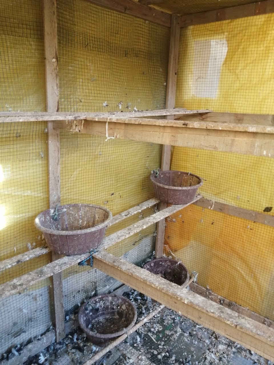 متاح قفص حمام جاهز مغلف سيم ونايلون وسلات بي  ارتفاع متر ونص وعرض متر ونص وعمق متر  السعر ٦٥ في طويريج


**إذا كنت صاحب هذا الإعلان وتريد حذفه لأي سبب، رجاءا أرسل رسالة إلى الدعم الفني**