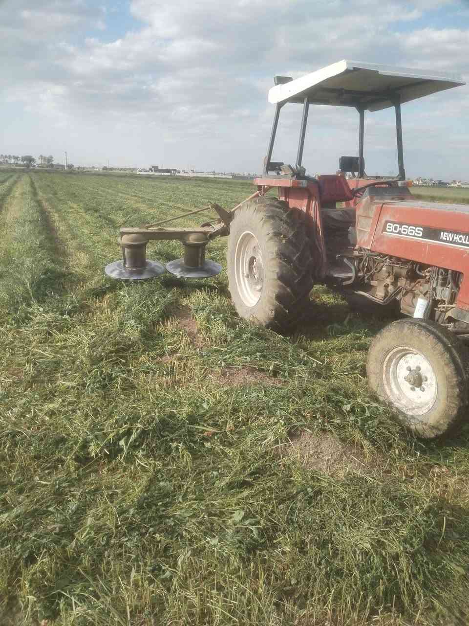 السلام عليكم حاشوشه تركي شغاله السعر مناسب 900مكاني ابو غريب سيطرة 40 مدخل السعد رقمي ***********
