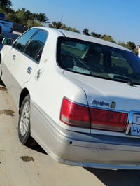 زينون • كشنات كهربا • رقم شمالي