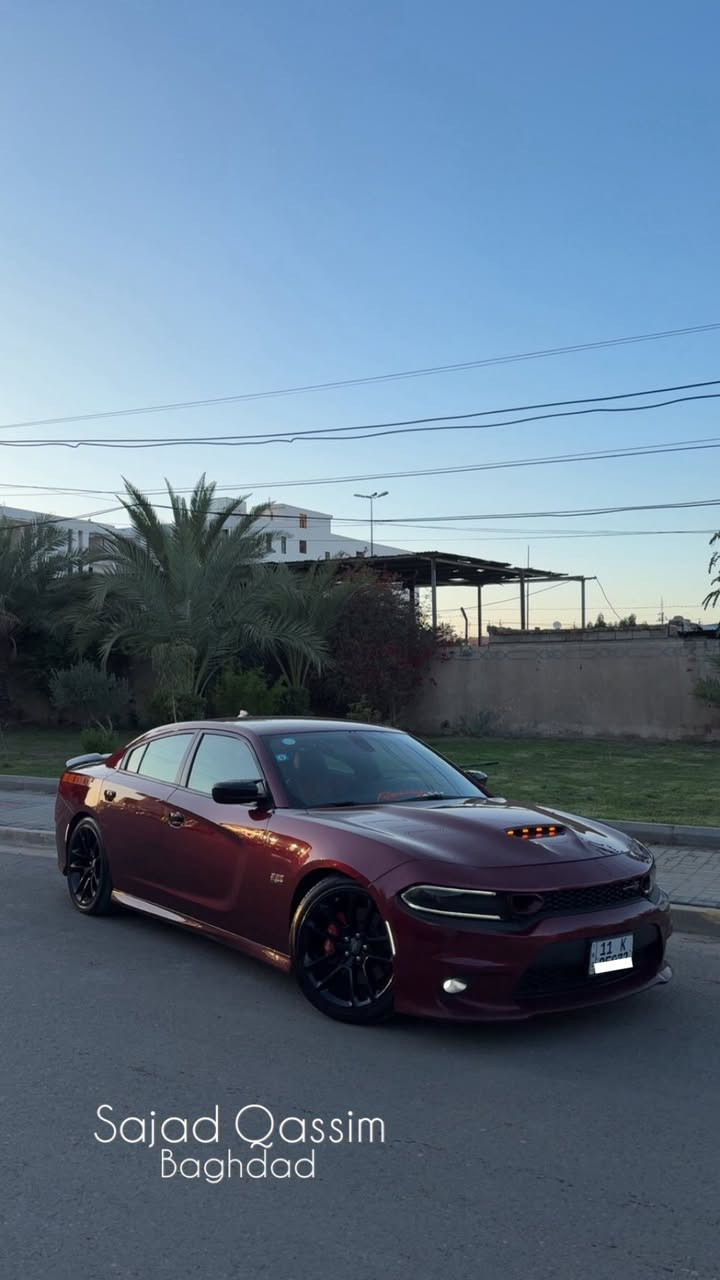 السلام عليكم ورحمه اللّٰه وبركاته
‏Dodge Charger. Super Track pack 2019
دودج جارجر سكات سوبر تراك باك ٢٠١٩
رقم بغداد حرة بسمي السياره
#حادث السياره جاملغ وبنيد فقط جهت الصدر معمرات نفسهن الجاملغ صبغ والبنيد صبغ واكو مباوك كلير بال باب مال صدر ايرباك دركه ودشبول
كامرة دوارة
نظام سوبر تراك باك
نظام سبورت
• نظام خرائط GPS +الشاشة نظام كار بلي + اندرويد اوتو
شفتات ستيرن
مري عاكسة
شاشة كبيرة
تشغيل عن بعد كشنات حضن
دخول ذكي
نظام صوت الباين
ا وباقي المواصفات
#الاظافات
• ويل دايتونا ٢٠ اصلي
بوليبوربرنك ريسنك
بلكات ونوزلات وولف حماوة ريسنك
كرون شفتات كاربون
حزام امان برتقالي
فلنجان مشيف
فجوج بريك برنبو
كاج كان بلت الاصلي
دبات اسود srt اكس بايب وداون بايب فيول بم ومساعد رينسك
اويل بالت
اويل برثر
شوته kn ستيج 3 
هدرز
سترس بار
بوابات صوت

اضافه كامله دواخل مكينه
السيارة مداخلة اي استعراضات وسباقات استخدام شخصي فقط © تحديثات فول للاخير
تحكم صوت وعزم
_ سياره برمجه سيفتي كامل واجايبه رقم حلوع دايتو _ تحديثات كير. مكينة. Abs .
_برمجة ثيمات وإضافة اوبشنات
ماشية 49 قابل للزيادة
 يتصل وبخدمته
• السيارة جديدة ونظيفة جدا جدا وعليهة ادامة مستمرة ومتعوب عليهة هواي كلشي مناقصه
والله يرزق الجميع الي احسن واحلة منهة
#اعتذر للاطالة
مكاني بغداد *********** موجود واتساب
