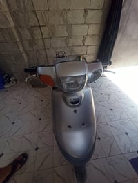 بطة • كاملة • مامفتوحة
