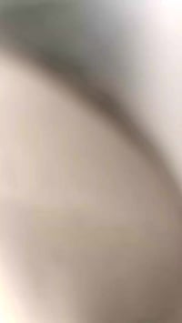 بيجي فحل • سلف • شغال