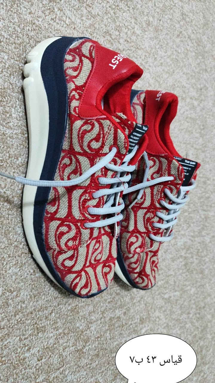 ابيعهم شلعه القطعه كلهم ب٥٥ مع التوصيل


**إذا كنت صاحب هذا الإعلان وتريد حذفه لأي سبب، رجاءا أرسل رسالة إلى الدعم الفني**