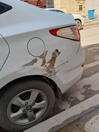 اكسنت • ٢٠١٥ • مصدات تعبانة