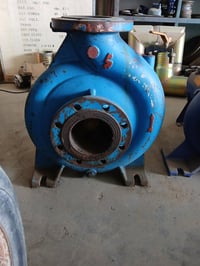 خنزيرة تركيا ٦في٥ بشارة ابراص ٠٧٧١٥٥١٥٤٠٣سيدرحيم