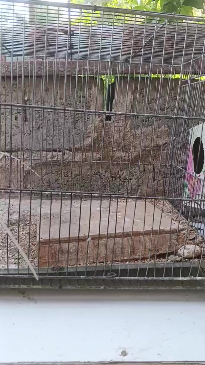 التفاصيل كاملة بالفديو
***********
***********
