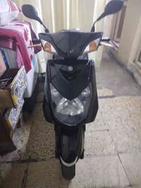 سكنس فحل ورد ياباني ام طلاعات خطين نوزل السعر 950 مكفوله كفاله عامه رق...