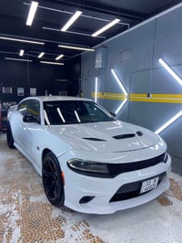 تشارجر • ٢٠١٥ • صبغ قطعتين