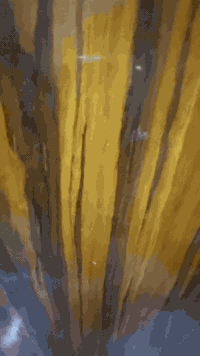 غرفة صاج • ثقيلة • البصرة