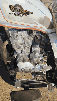 ستوته ٢٠٢١ • أوراق جاهزه • مكفوله