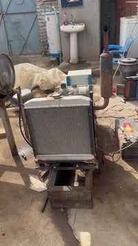 كابوتة ياباني • ١٢.٥كيفي • ستامفورد