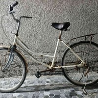 باسكل • حجم 24