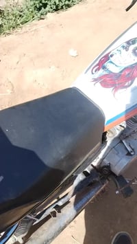 ستوته • سلف • كهربائيات شغاله