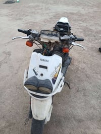 اكزز • جبلي • كامله