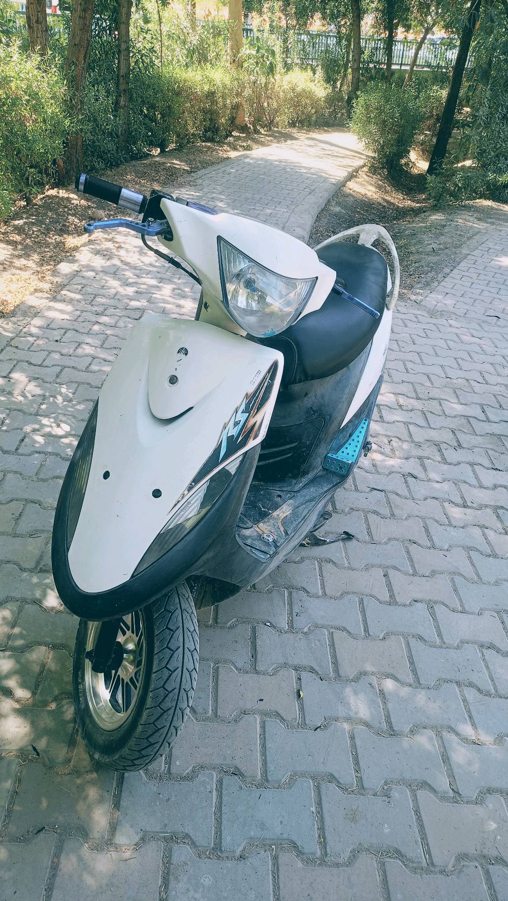 بعقوبة المفرگ