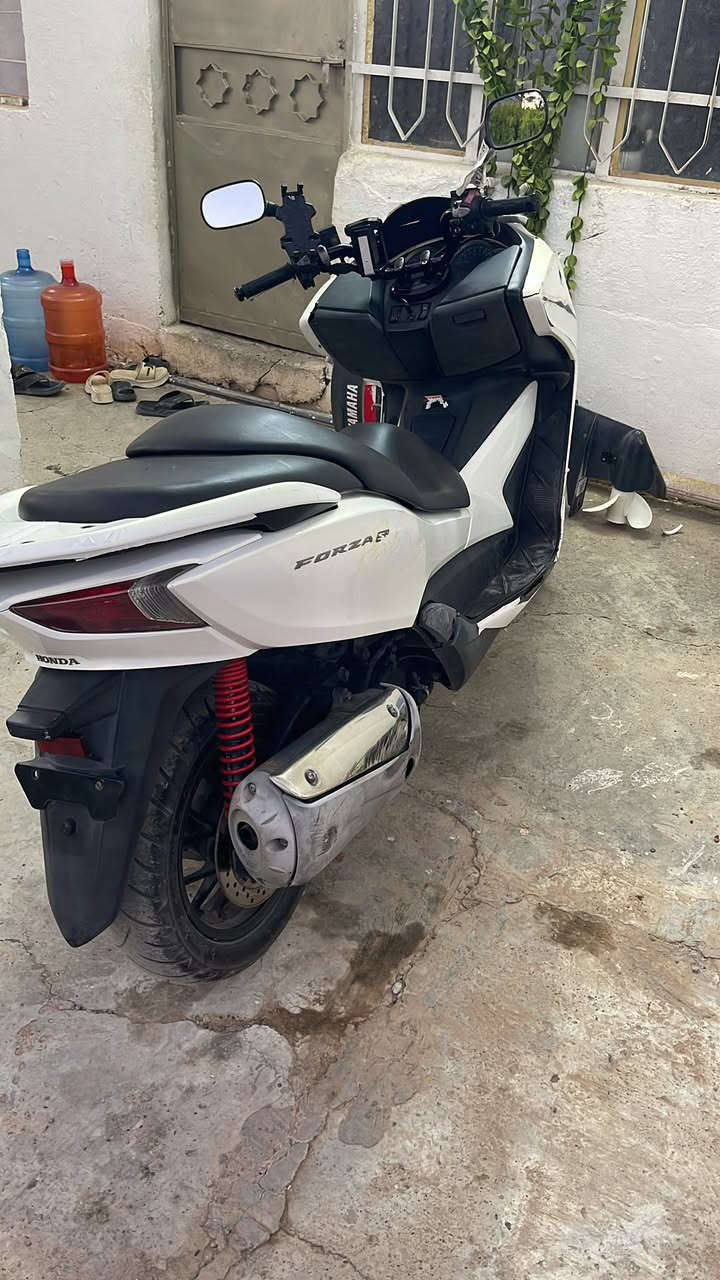 السلام عليكم
فورزه 0 12. الدراجه رمبه جديده بمعنى الكلمه 
نقصه بس الكڤر الامامي 
بغداد. 
***********
