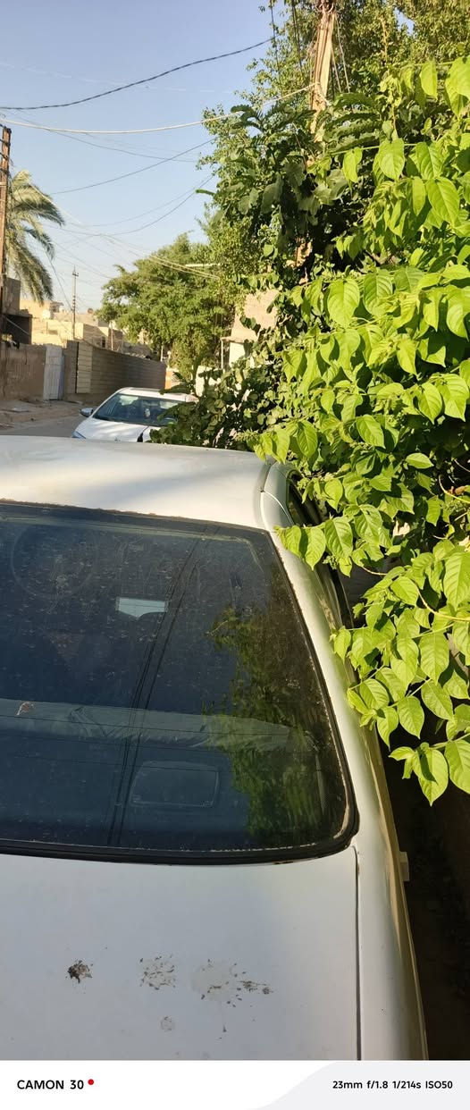 السلام عليكم
بيجو ٤٠٥ موديل ٢٠١١ 
كير مكينه تبريد خير من الله كشره شوف العين باتري داينمو جديد بيه تهريب ناريه وماعدي مجال اسوي السياره نضيفه فيت بم ونوزلات جدد مابيه صرف بانزين رقم بغداد تحويل ثاني يوم مكاني زعفرانيه 
***********
