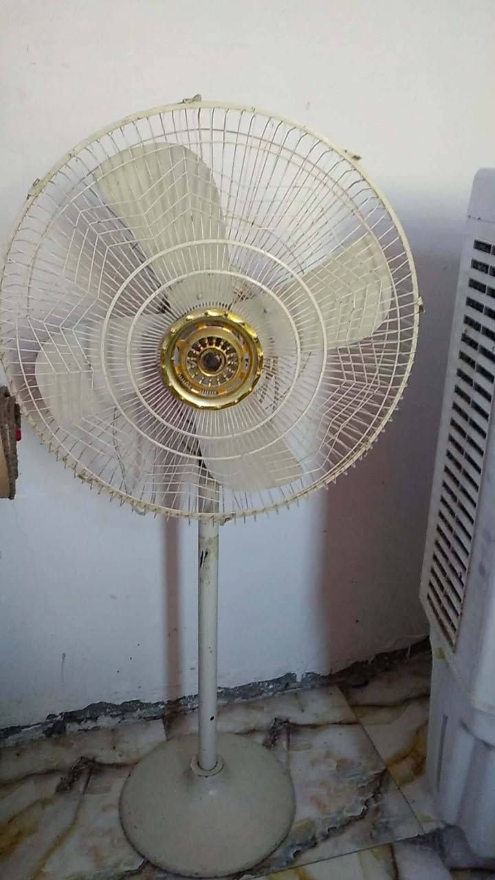 سلام عليكم مبرده حجم كبير ثلاث سرع درجه اول سعر ١٨٠ بيه مجال الشراي و مروحه ارضيه مروحه جديد استخدام قليل سعرهه 50 والشراي بي خير ويدلل متواجد مانسجر و واتساب *********** واتصال عله رقم
