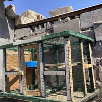 قفص ١٠٠×٥٠ • خاص • الفاو