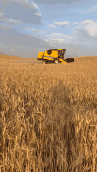 بۆفرۆشتن دەراسەی نیوهۆلەند ٤بەلەم  ٢٠١٥ زۆر خاوێنە  هەموو بەشەرتە تەبلە ١٥ فوت
انگجیتەر 
***********عەرەبی
***********كوردی
هەولێر   اڕبیل
