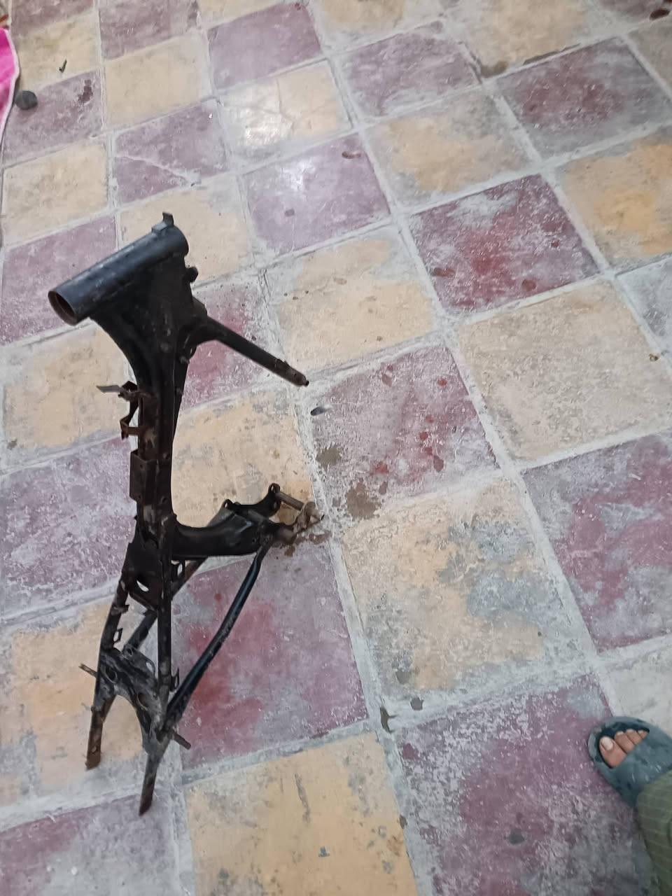 سلام عليكم شاصي كلك كلك  نضيف شراي يتصل ***********
