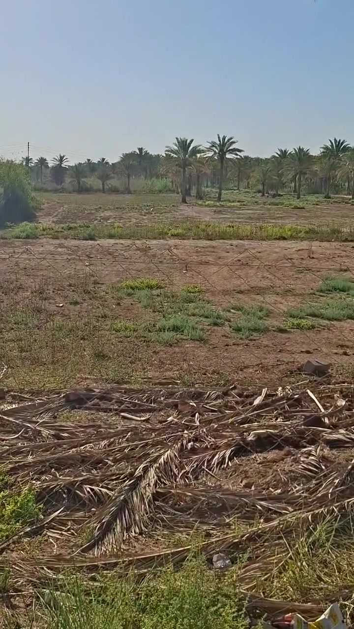 دونم مباشر عالشارع سند ٢٥ تجاري يصلح مخازن او سكن
 واجهيه ١٦ متر ونزال ١٤٠ من وسط الدونم يصير عرضه ٢٣ متر 
(منطقه السياحي ابو طماطه )

شارع تبليط عالجدول مباشرة 
للاستفسار  ***********
***********
