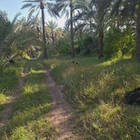 ٥ دونم • ماء اسالة وسقي • واجه ٧٠م