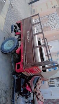 ستوته • نظيفه • اصولي