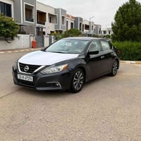 التيما • ٢٠١٧ • رقم اربيل