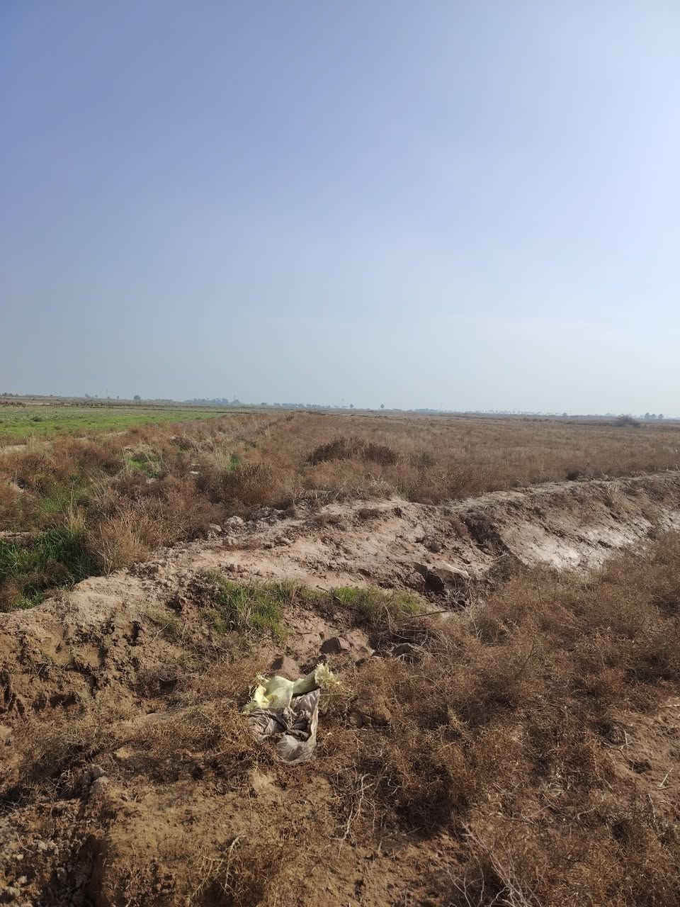 ارض زراعية للبيع جنس الارض عقد 117

المساحة 16 دونم

واجهة الارض 50 متر ونزال 800 متر

منطقة الشريف الرضي

تبعد عن تبليط المنطقة 300 متر

تبعد عن شارع العام وعن مدخل قضاء العزيزية من جهة معمل السوس 2000 متر 

16 دونم تباع قطعة واحدة

للاستفسار الاتصال على ***********

***********
