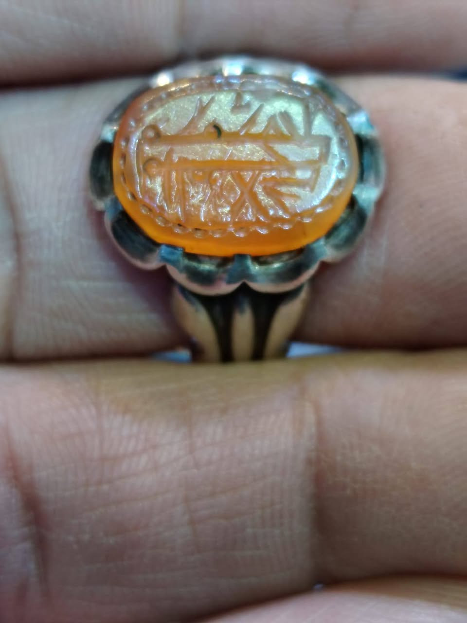 ابو ورود الحسيني ***********
