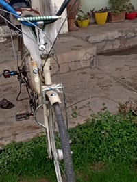 يابانية • مقاس ٢٦ • جديد