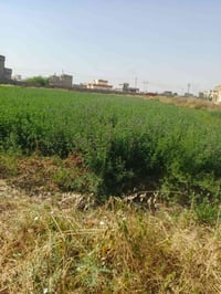 الشرقاط • قطعة أرض • للبيع