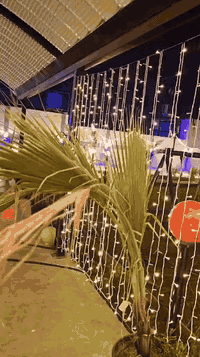 السلام عليكم  📍 بغداد الدوره بعيثه 
يتوفر لدينا حجز مزرعه طيلة ايام الاسبوع 🌴
علماً ان مزرعه موثقه بتطبيق اجرلي
⭕️ يوجد لدينا نظام شفتات
-يبدا الشفت النهاري من الساعة 8 صباحا الى الساعه 6 مساءاً
-يبدا الشفت المسائي من الساعة 8 مساءاً الى الساعة 7 صباحاً
📍للحجز و الاستفسار يرجى الاتصال على الرقم التالي :
***********
