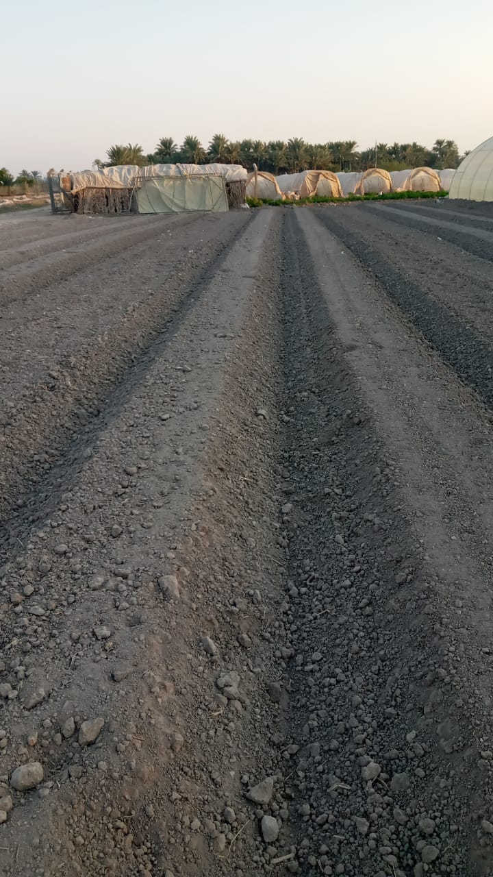 مرازة بيوت بلاستيكية انتاج. سلوم الحداد


**إذا كنت صاحب هذا الإعلان وتريد حذفه لأي سبب، رجاءا أرسل رسالة إلى الدعم الفني**