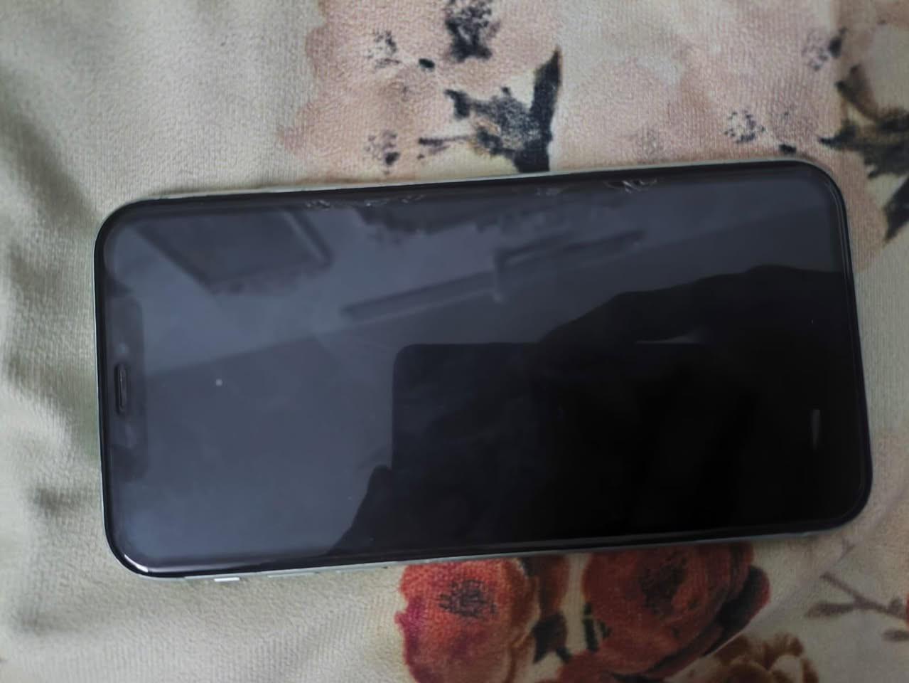 السلام عليكم ايفون 11 عادي جهاز كله ابلادي ونضيف حيل تجي وشوفه ابعينك بطاريه 93 ذاكره 128
***********
