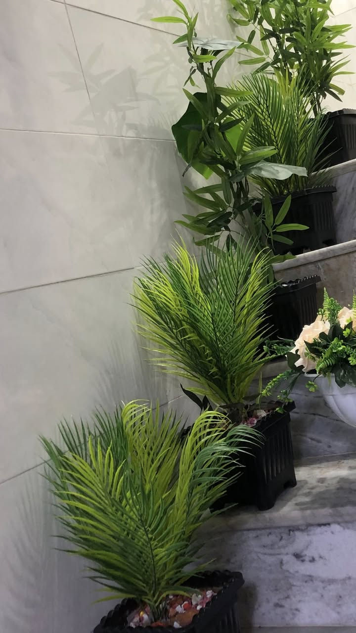 للبيع بغداد الشعب كل سبعه ب٥٠


**إذا كنت صاحب هذا الإعلان وتريد حذفه لأي سبب، رجاءا أرسل رسالة إلى الدعم الفني**