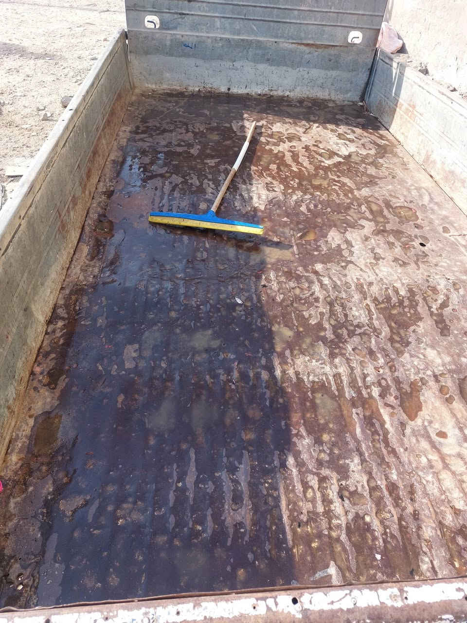 السلام عليكم  بدي كيا فحل للبيع  السعر ٤ ورقات  وبي مجال  الرقم *********** المكان بغداد الزعفرانيه
