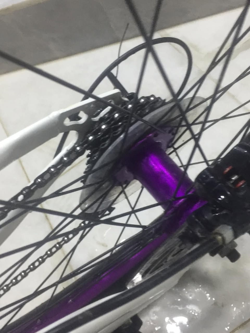 السلام وعليكم بايسكل رياضي سبورت ١٢٥ وبي مجال


**إذا كنت صاحب هذا الإعلان وتريد حذفه لأي سبب، رجاءا أرسل رسالة إلى الدعم الفني**