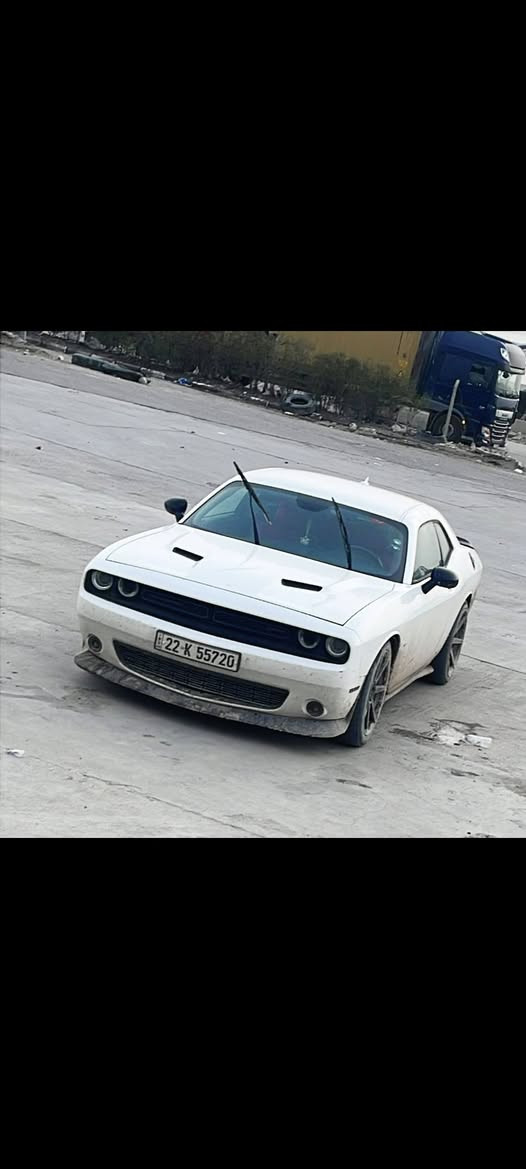 جالنجر ارتي R\T 2017
- رقم السيارة (اربيل) تحويل او وكالة سنويتها لل30 الرقم الجديد هزتها بشهر الرابع تخلص
-السيارة عليها 
دركة كاربون فايبر مضلعة 
شوته رياضي AFE 
شاشة جبيرة (كار بلي)
الدواخل مغلفة كاربون فايبر
دفيوزر وجنح خلفي ودوسات ولحية امامية
ويل كب رياضي 20  
شفتات ستيرن
كاج كان 
كزوز اس ار تي بلادي
حجراتها بلادية
برمجة مال استخدام شخصي 
دعاميات بلادية وبنيد بلادي 
- مكينه وكير واكسل كفالة 
- حادث السيارة
موجوة صور الحادث عندك بالصور 
جاملق امامي وباب السايق مبدلات بلاد نفس اللون بدون قطرة صبغ يعني (قطعتين مبدلات) 
والداير مال الجاملق الخلفي بي شوي صبغ على كد شبر مأشرلك هم بالصور مكانه بالاضافة الى الدوسة كلير وياها
سعرها (( 153 )) وبي مجال 
مكانها البصرة - التنومة

مكلف بلنشر اي ستفسار اتصل عل رقم ما ارد خاص

***********
