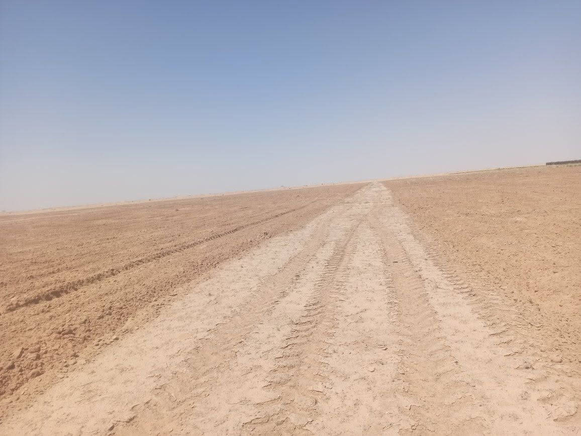 علي محسن الزيدي السلام عليكم  اكرر النشر بصوره صحيحه
مزرعه للبيع عمود 260 شارع الديوك 
المساحه 75 دونم تبعد عن طريق نجف كربلاء 5كيلو 
شارع كله تبليط 
الارض فارغه المجاوريين بصفه زرع خير من الله 
للبيع او ضمان 
للتواصل اكثر  صاحب الارض  ‏‪***********‬‏ ابو محمد الزيدي
